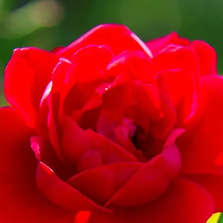 Stapelfeldt * 瓦瑟堡